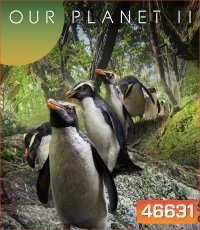 Our Planet Season 2 (2023) (ภาพ HDR)