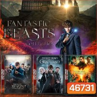 Fantastic Beasts สัตว์มหัศจรรย์ ภาค 1-3 DVD หนัง มาสเตอร์ พากย์ไทย