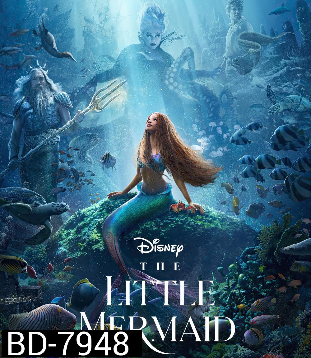 [ชนโรง!..ชัด + V.2 - ดูรูปตัวอย่างด้านล่าง ] The Little Mermaid (2023) เงือกน้อยผจญภัย