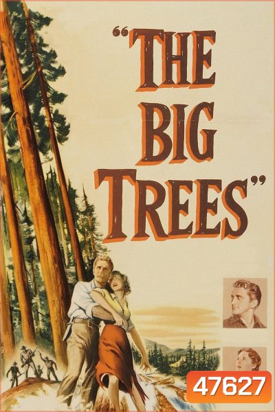 The Big Trees (1952) สุภาพบุรุษในป่าใหญ่