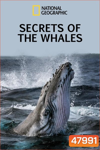 Secrets of the Whales ( 2021) ความลับของเหล่าวาฬ