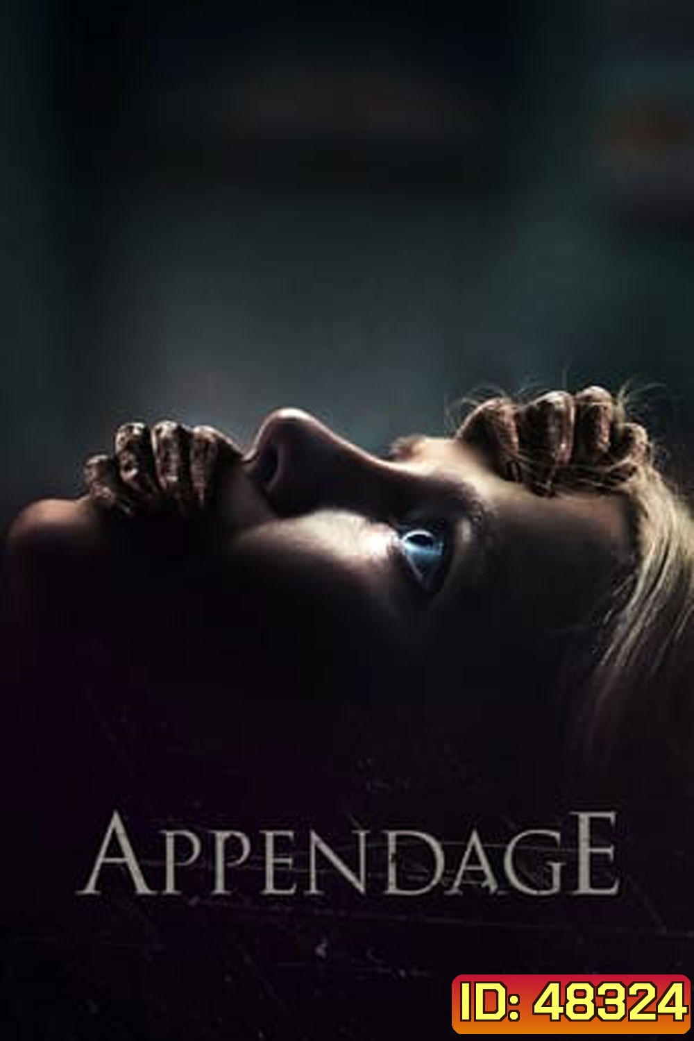 แอพเพ้นเอจน์ (2023) Appendage