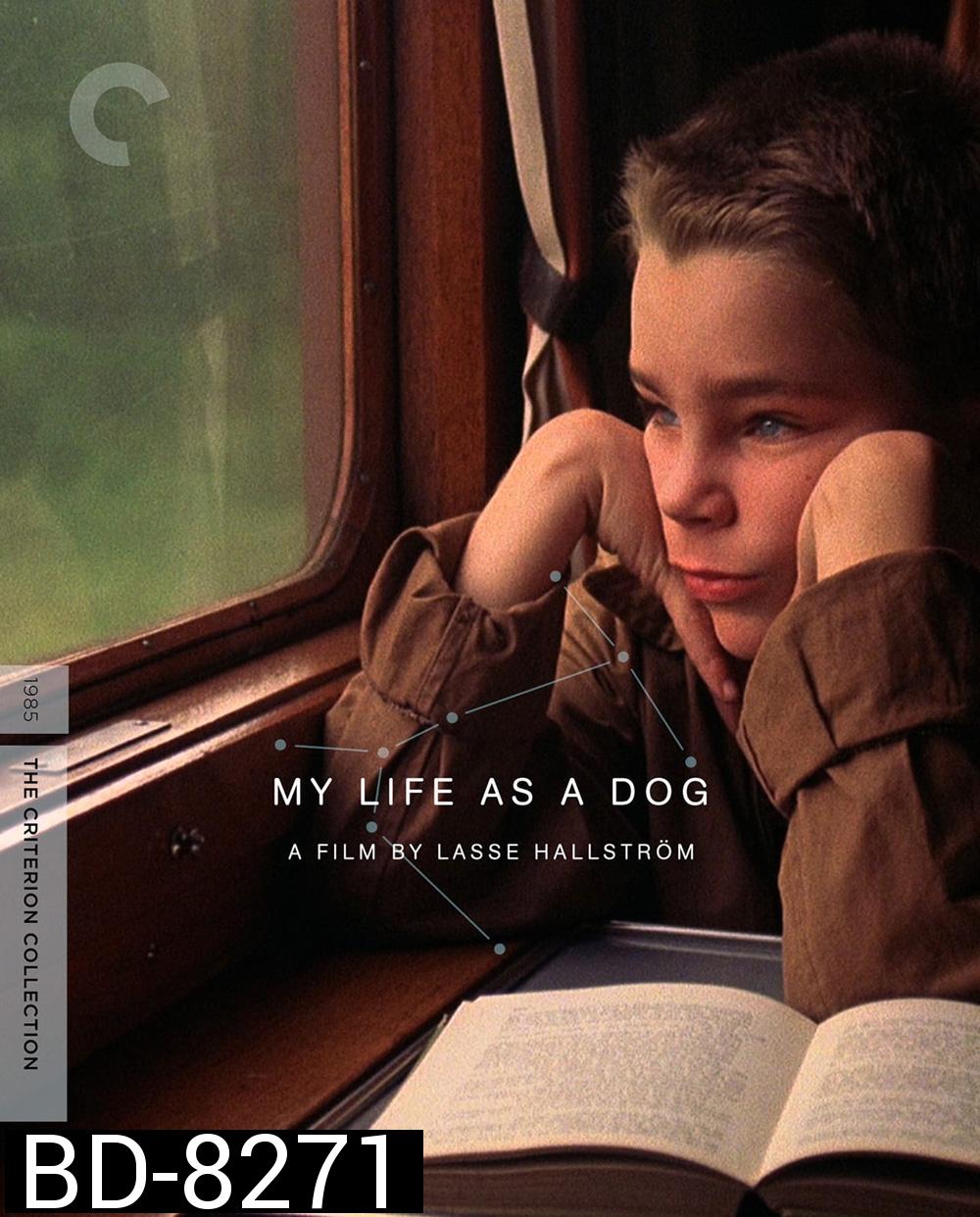 My Life As a Dog (1985)