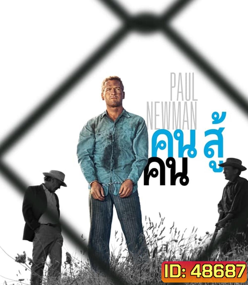 4K - Cool Hand Luke (1967) คนสู้คน - แผ่นหนัง 4K UHD