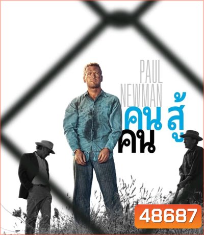 4K - Cool Hand Luke (1967) คนสู้คน - แผ่นหนัง 4K UHD