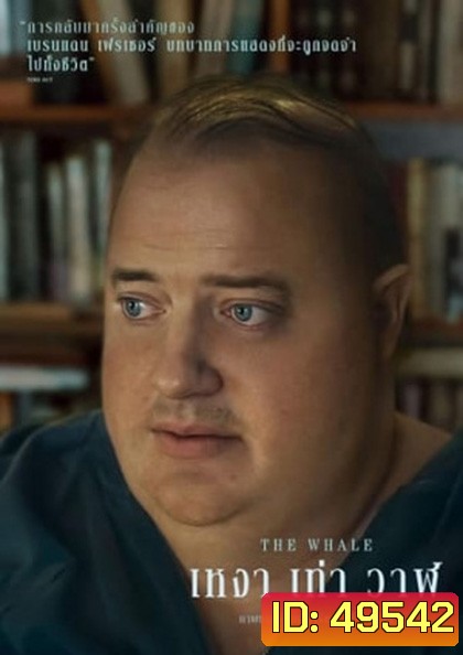 The Whale เหงา เท่า วาฬ (2022)