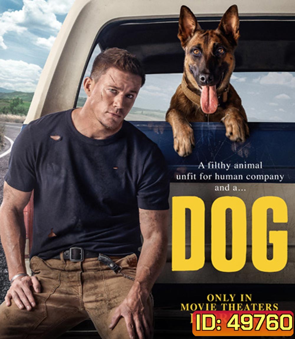 DOG ด็อก เพื่อนกันพันธุ์ห้าว (2022)