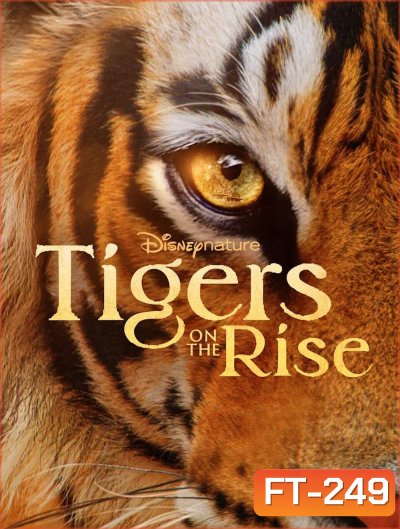 Tigers on the Rise (2024)