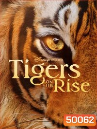 Tigers on the Rise (2024)