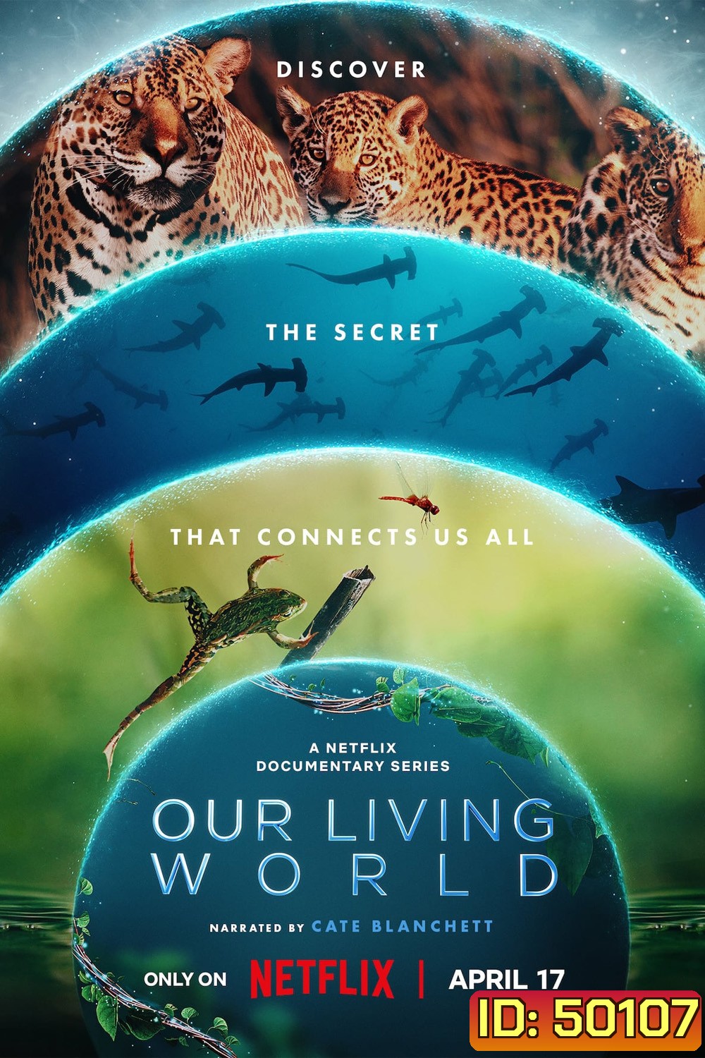 Our Living World โลกที่เราอยู่ (2024) 4 ตอน