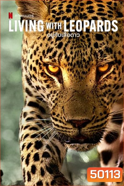 Living with Leopards (2024) อยู่กับเสือดาว