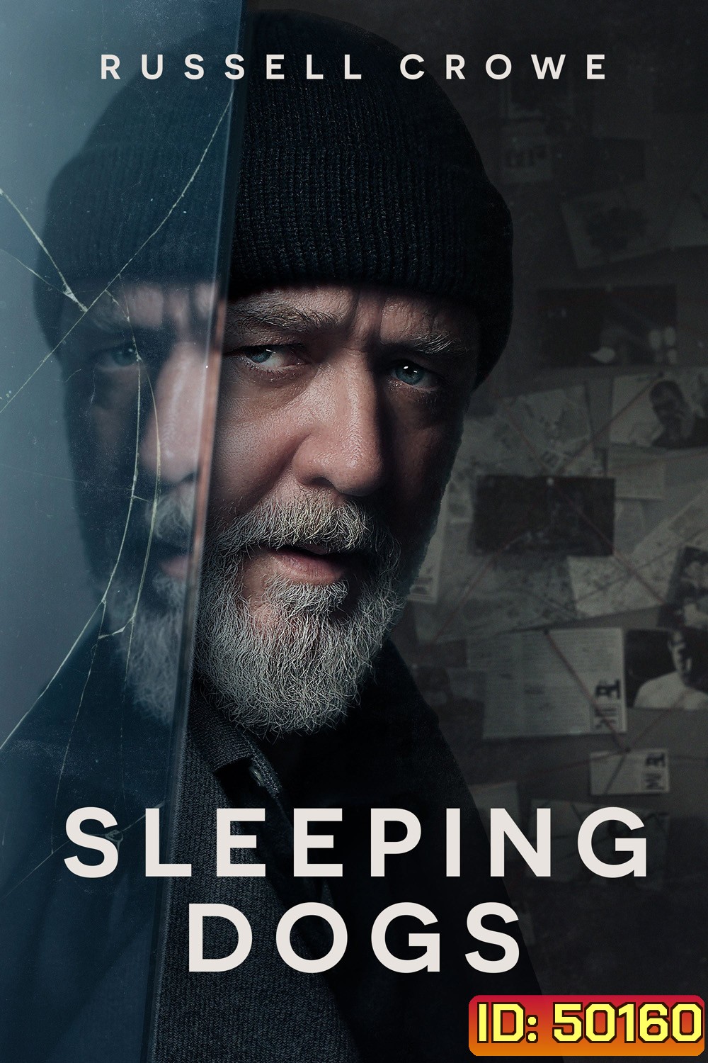 Sleeping Dogs 2024
