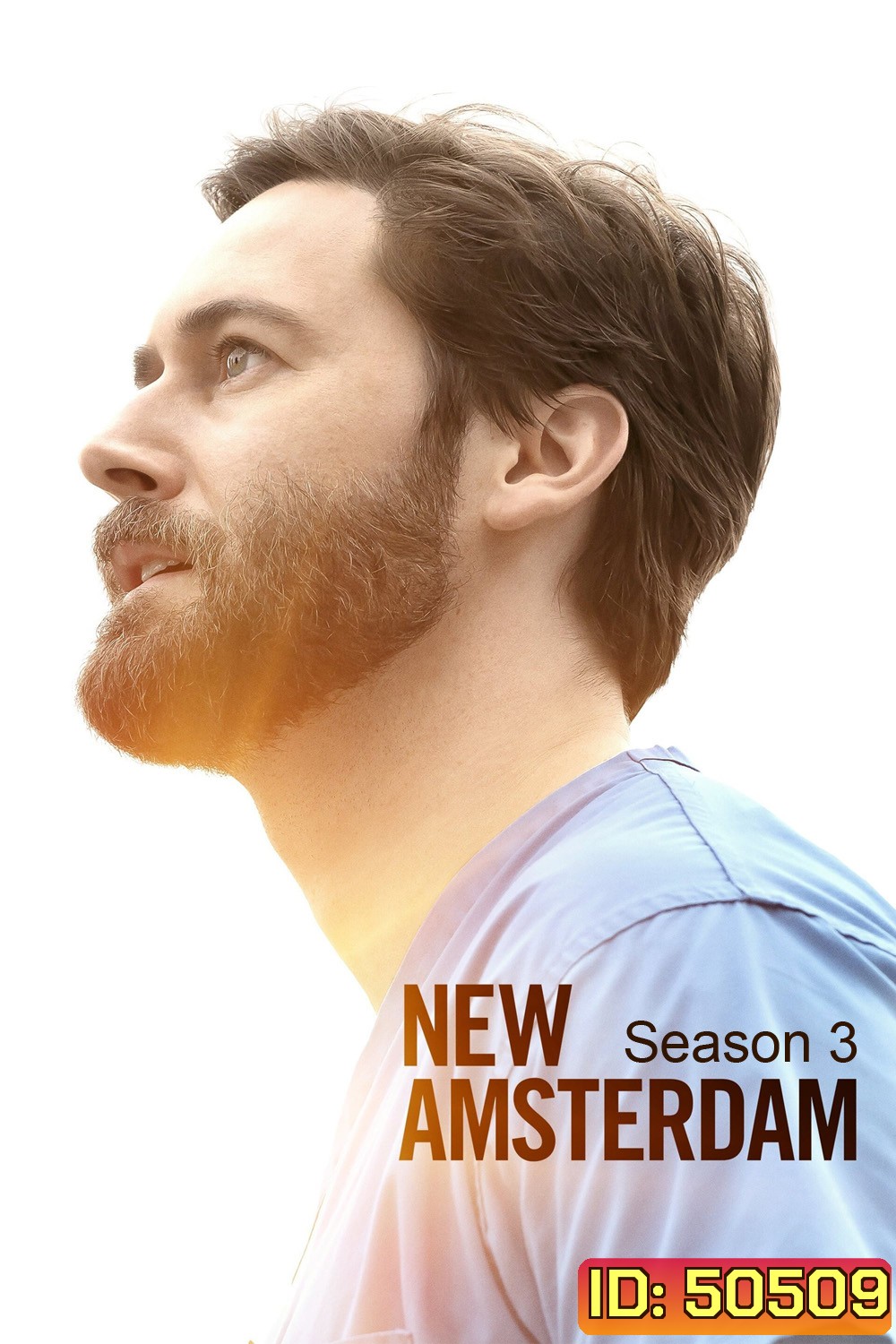 New Amsterdam Season 3 นิว อัมสเตอร์ดัม ปี 3 (2021) 14 ตอน