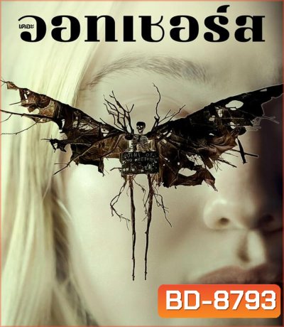 The Watchers เดอะ วอทเชอร์ส (2024)