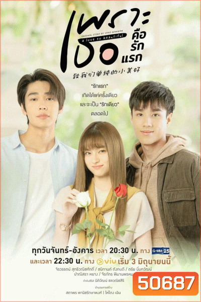 A Love So Beautiful เพราะเธอคือรักแรก (2024)