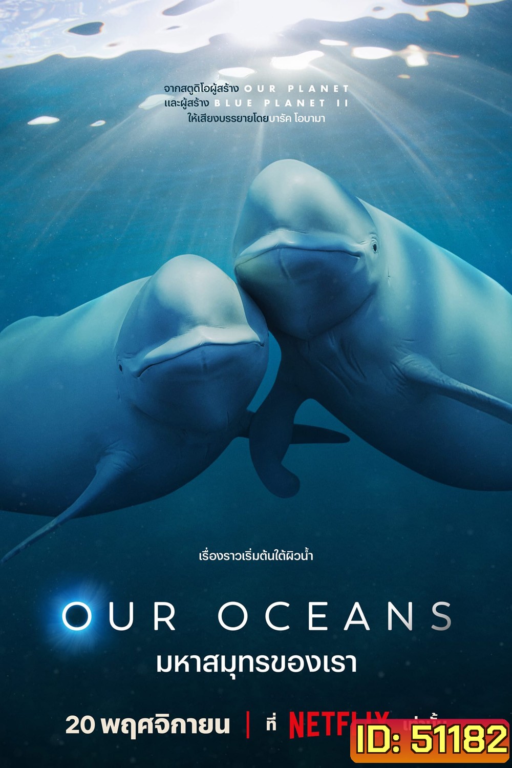 Our Oceans มหาสมุทรของเรา (2024) 5 ตอน