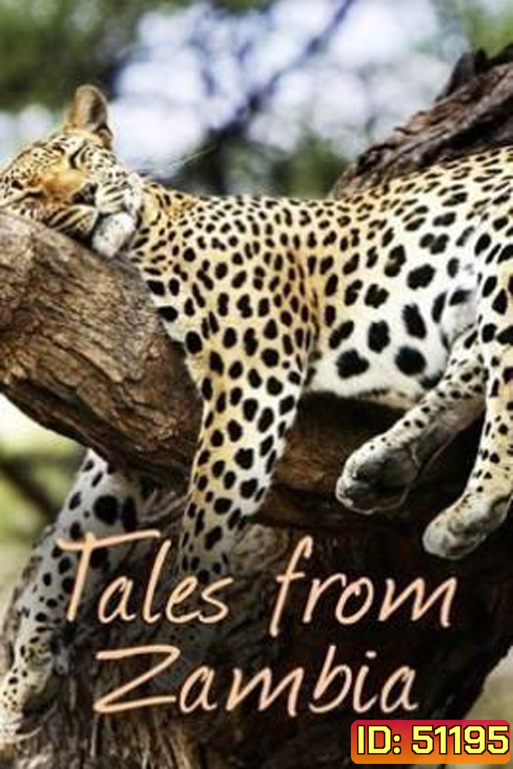 (ตอนที่ 5-7 ไม่มีซับ)Tales From Zambia เทพนิยายจากแซมเบีย (2016) 7 ตอน