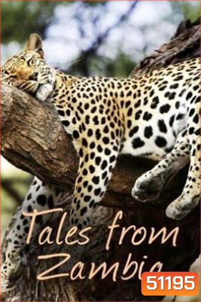 (ตอนที่ 5-7 ไม่มีซับ)Tales From Zambia เทพนิยายจากแซมเบีย (2016) 7 ตอน