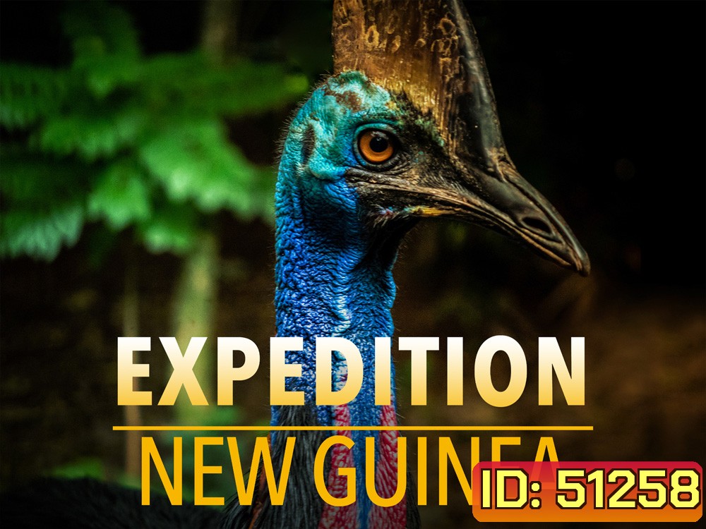 Expedition New Guinea สำรวจป่านิวกินี (2021) 3 ตอน