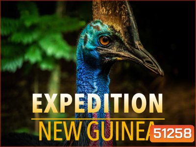 Expedition New Guinea สำรวจป่านิวกินี (2021) 3 ตอน
