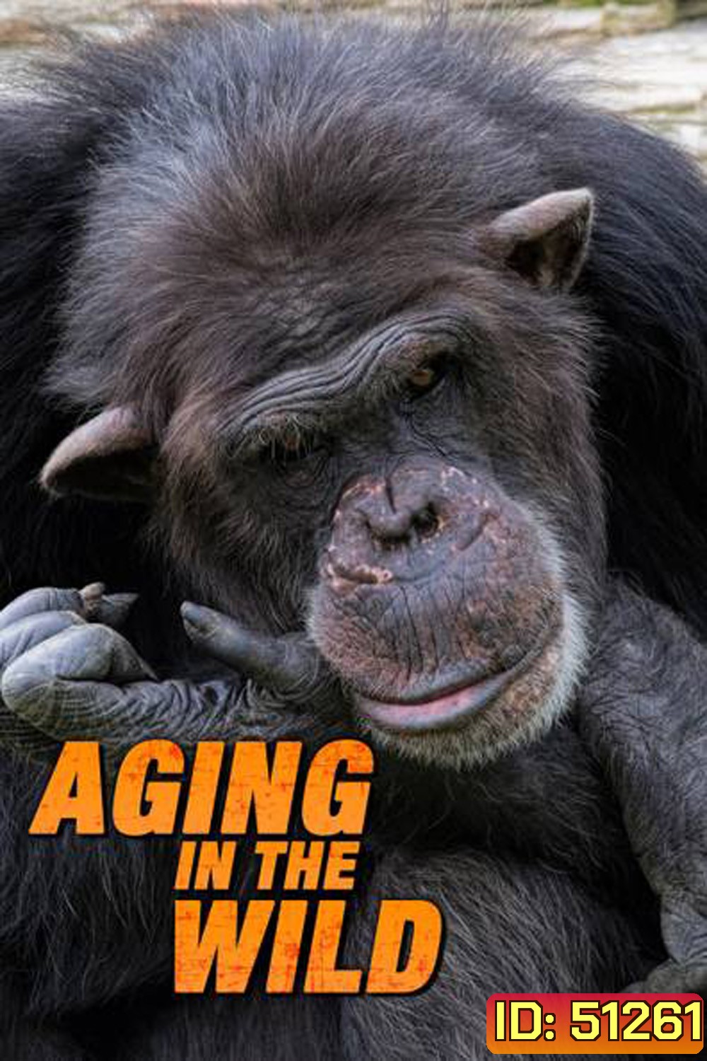 Aging in the Wild (2017) ช่วงชีวิตในป่าใหญ่ (5 ตอน)