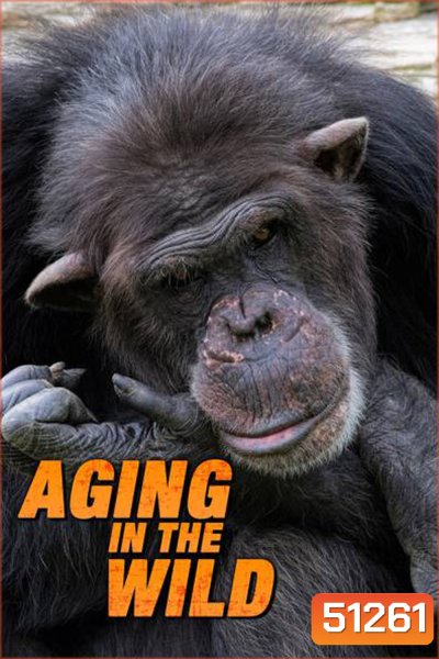 Aging in the Wild (2017) ช่วงชีวิตในป่าใหญ่ (5 ตอน)