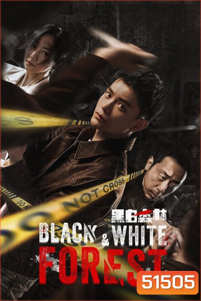 Black and White Forest ปมปริศนาป่าซ่อนเงื่อน (2024) 28 ตอนจบ