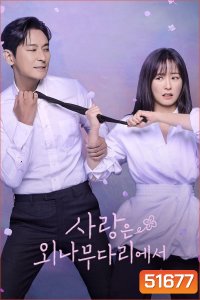 Love Your Enemy อริร้าย กลายรัก (2024) 12 ตอนจบ