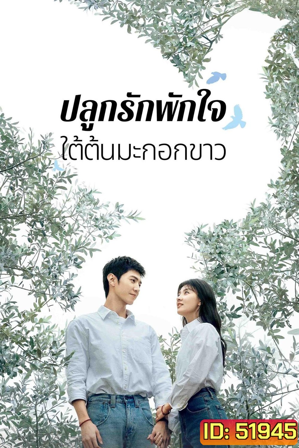 The White Olive Tree ปลูกรักพักใจ ใต้ต้นมะกอกขาว (2025) 38 ตอนจบ
