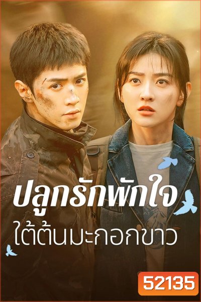 ปลูกรักพักใจ ใต้ต้นมะกอกขาว The White Olive Tree (2025) 38 ตอนจบ