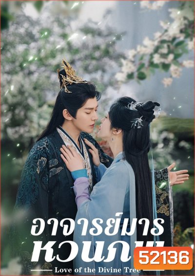 อาจารย์มารหวนภพ Love of the Divine Tree (2025) 40 ตอนจบ