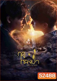 [Y Series] Lost in the Woods ฤดูหลงป่า (2025) EP.01-EP.07 จบ