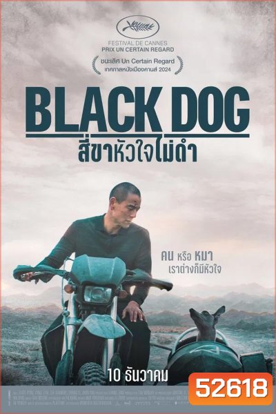 Black Dog สี่ขาหัวใจไม่ดำ (2024)