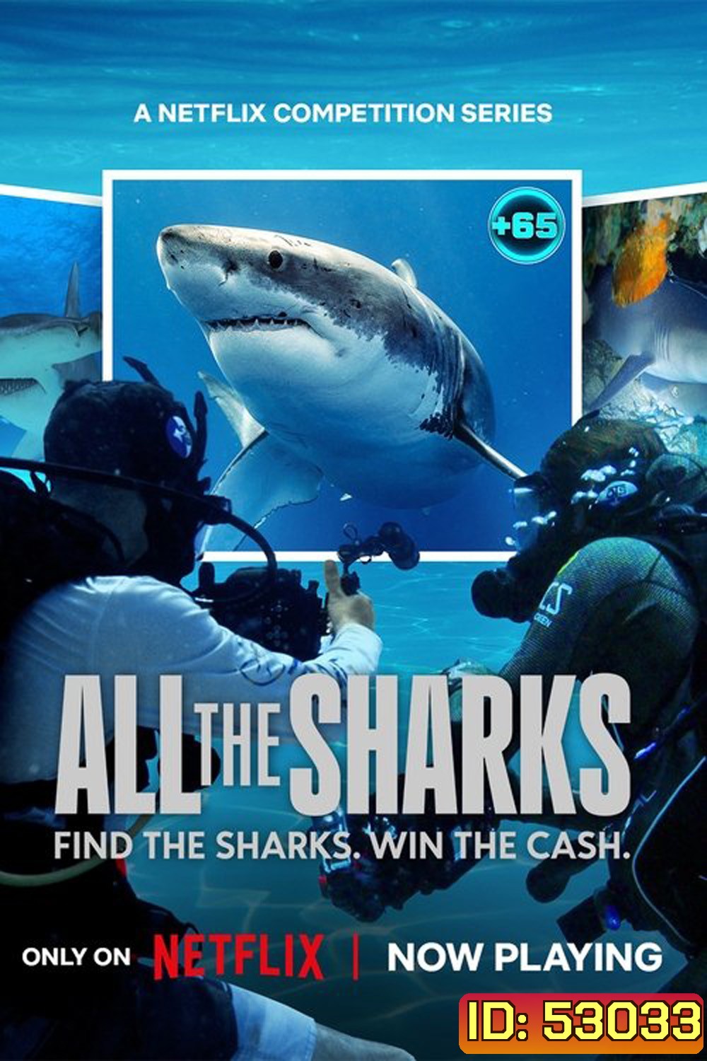 All the Sharks เกมล่าหาฉลาม Season 1 (2025) 6 ตอน