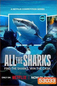 All the Sharks เกมล่าหาฉลาม Season 1 (2025) 6 ตอน