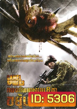 Camel Spiders กองทัพแมงมุม 8 ขาขยุ้มเมือง