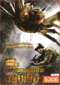 Camel Spiders กองทัพแมงมุม 8 ขาขยุ้มเมือง