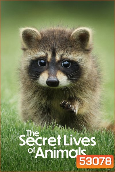 The Secret Lives of Animals (2024) 10 ตอน
