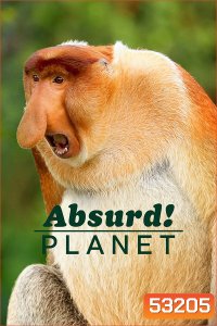 Absurd Planet โลกแปลกประหลาด (2020) 12 ตอน