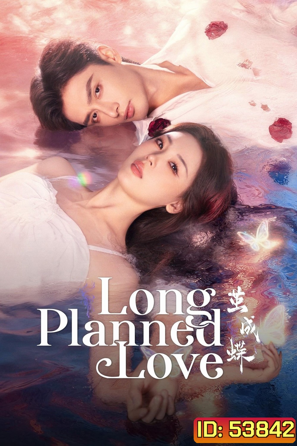 Long Planned Love รักที่โบยบิน (2025) 24 ตอนจบ
