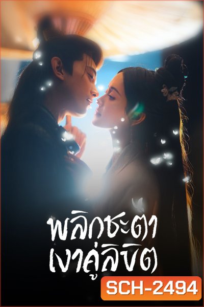 พลิกชะตาเงาคู่ลิขิต Doppelganger (2025) 28 ตอนจบ
