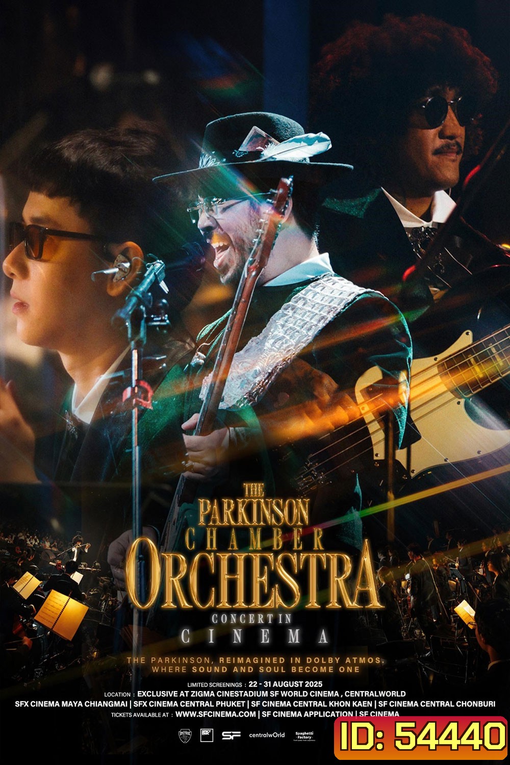 The Parkinson Chamber Orchestra Concert