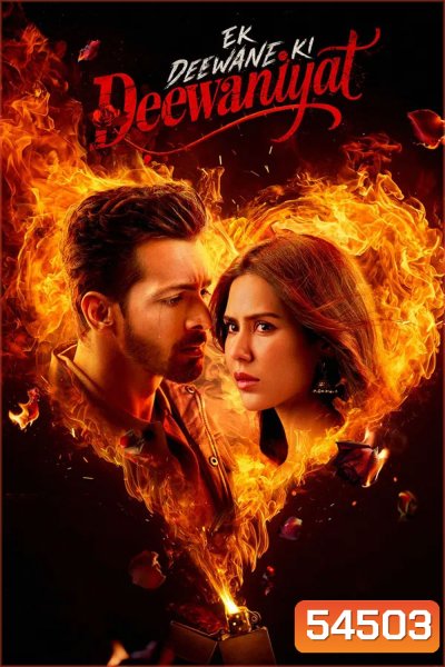 Ek Deewane Ki Deewaniyat (2025)