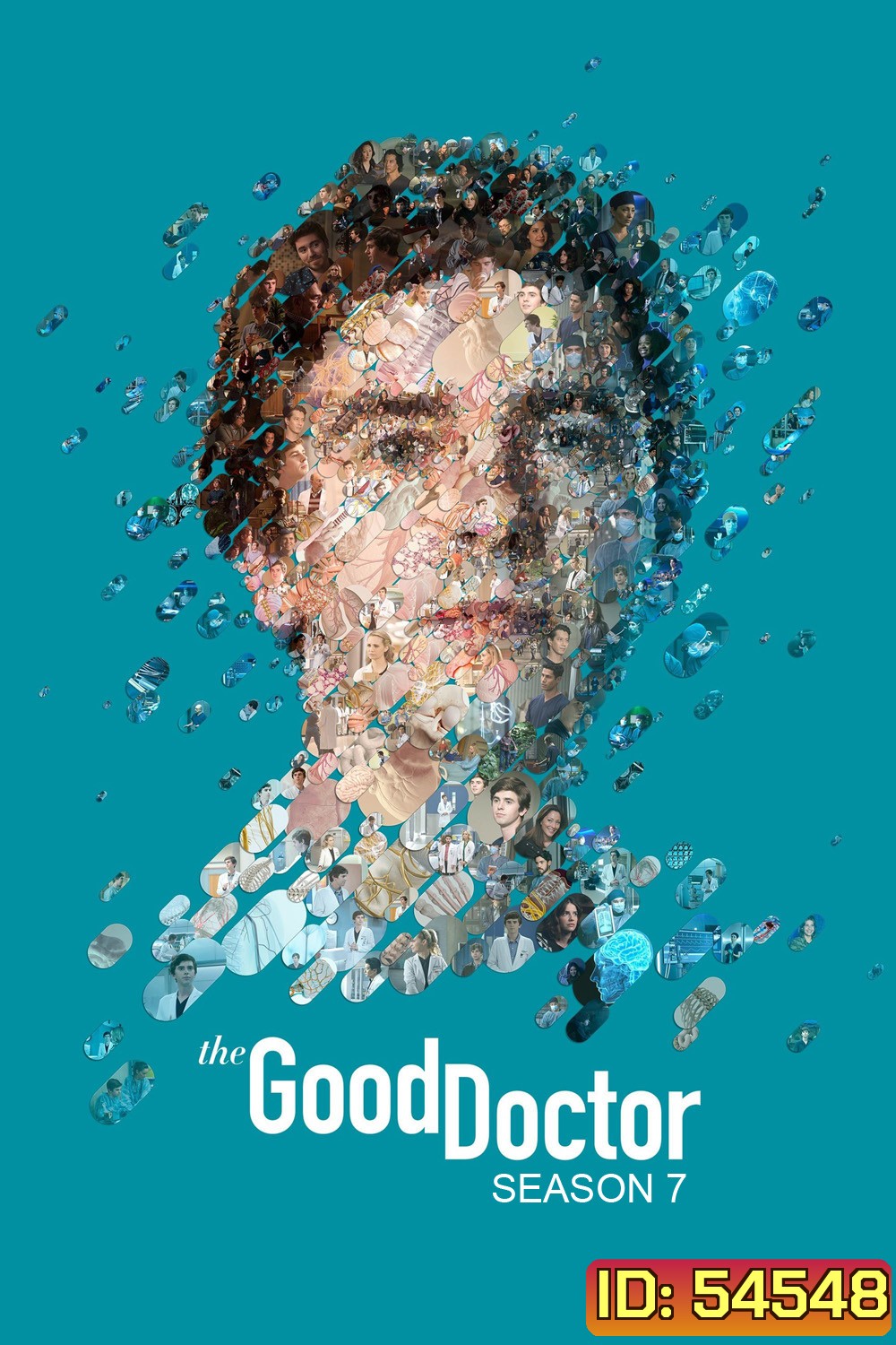 The Good Doctor Season 7 (2024) คุณหมอฟ้าประทาน ซีซั่น 7 {10 ตอนจบ}