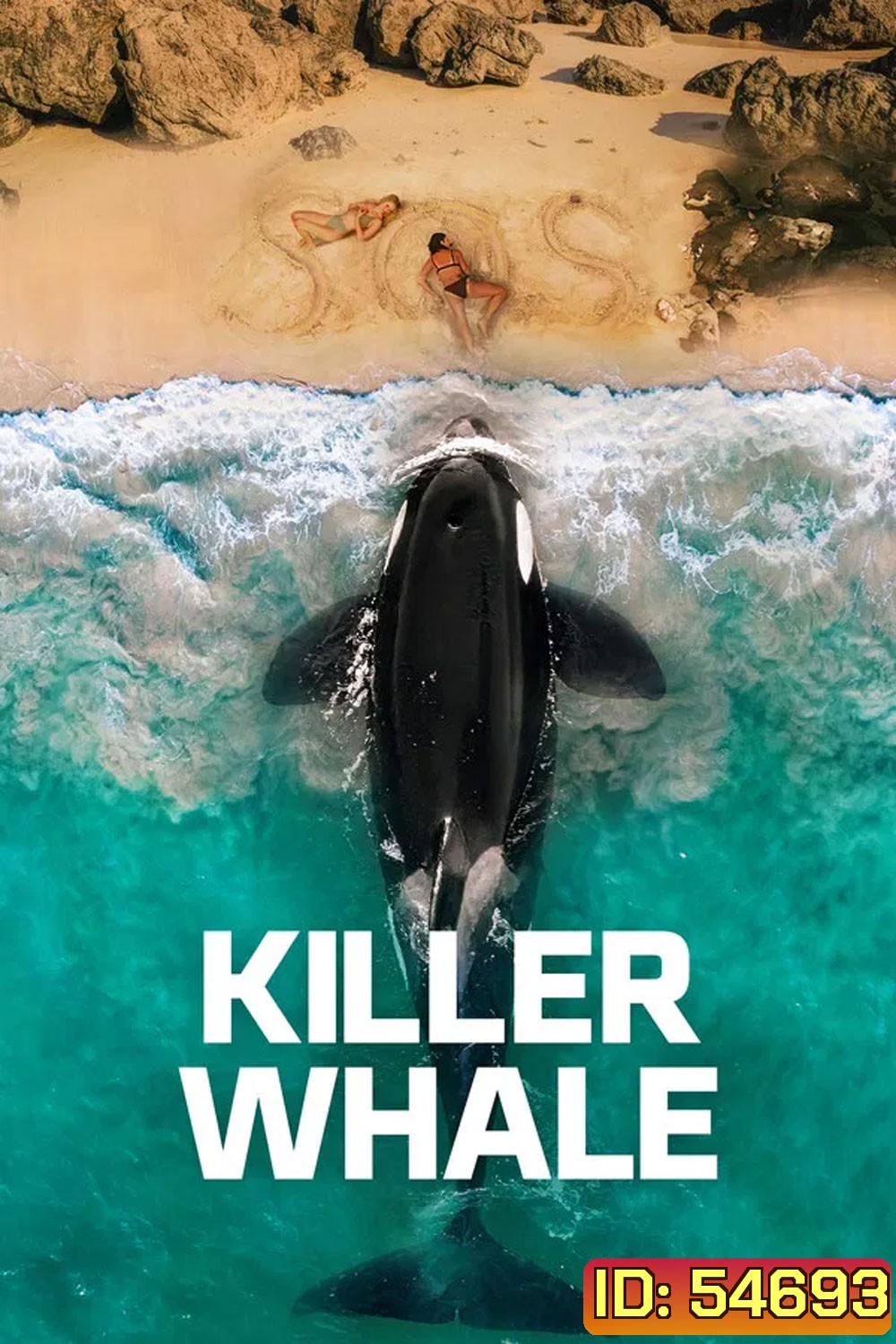 Killer Whale (2026)
