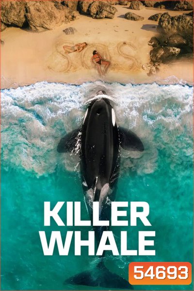 Killer Whale (2026)