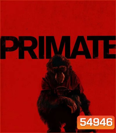 Primate (2026) ลิงคลั่งพันธุ์ดิบ
