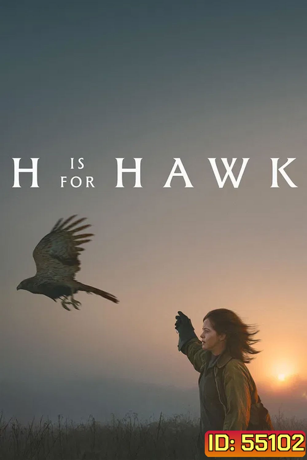 H Is For Hawk (2025)