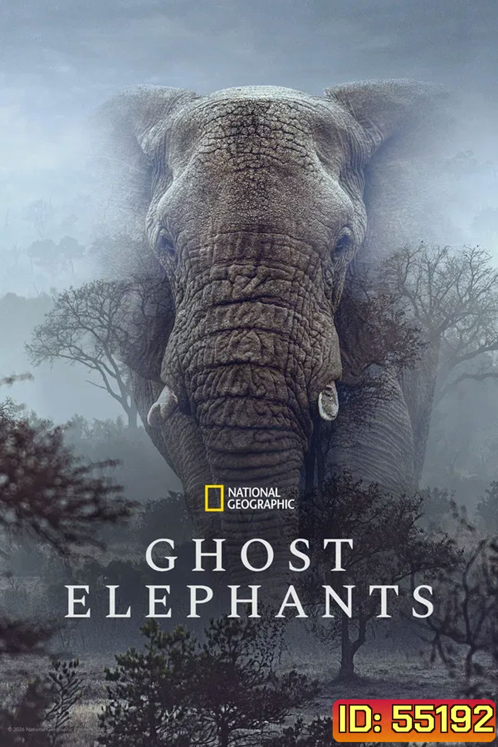 Ghost Elephants (2025)