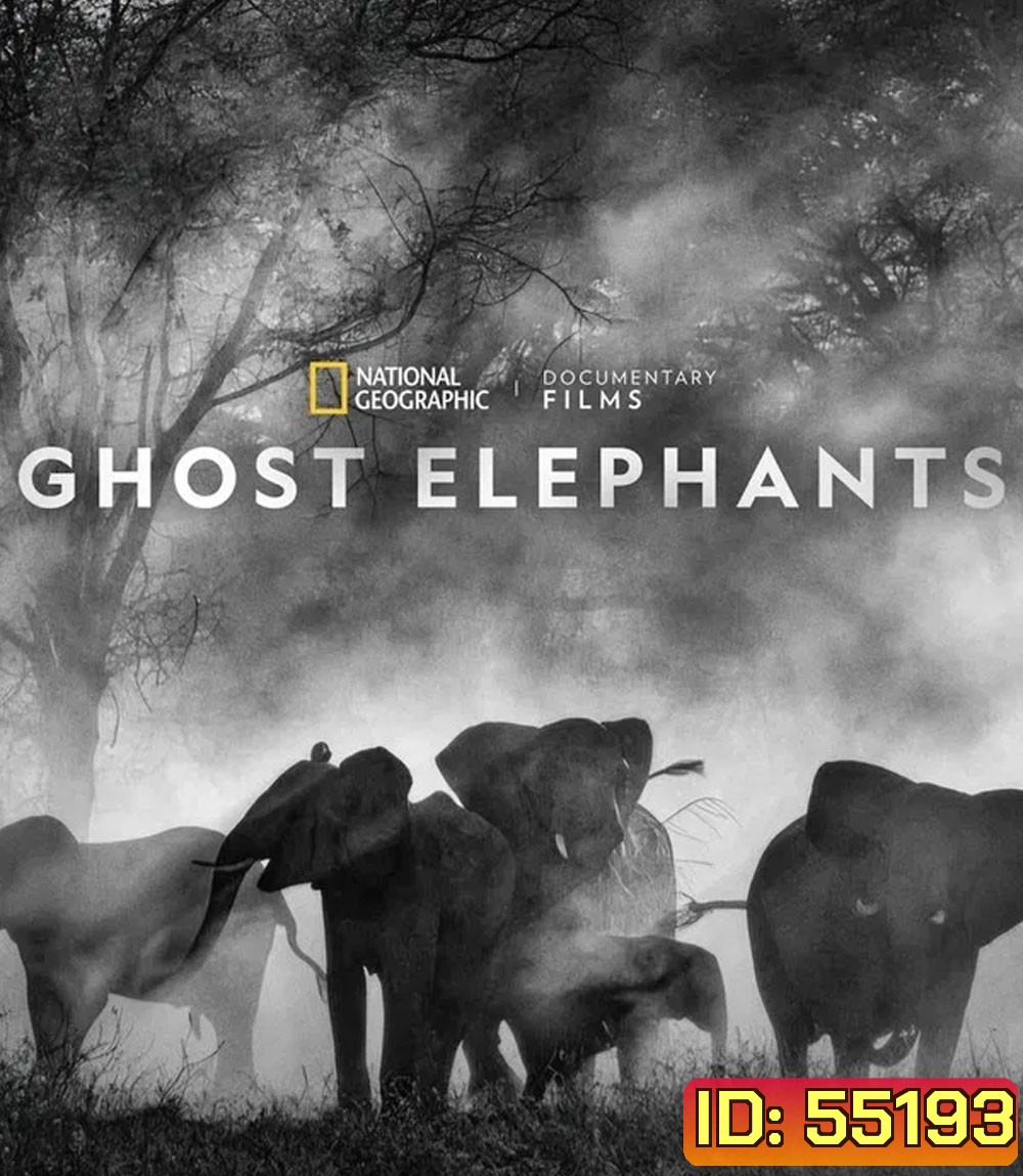 Ghost Elephants (2025)